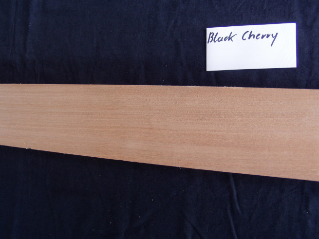 Amerikanisch Kirschbaum (Black Cherry)